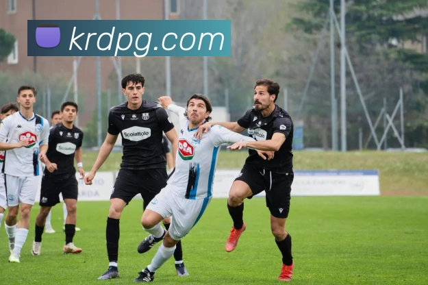 pg电子平台生态图